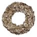 Northlight Seasonal Gold Glitter Pine Cone Artificial Christmas Wreath 12-Inch in Yellow | 2.75 H x 12 W x 12 D in | Wayfair NORTHLIGHT SH93299