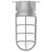 Alder & Ore Alexia Outdoor Flushmount Light