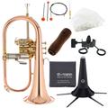 Thomann FH 600 G Bb-Flugelhorn Set