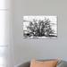 East Urban Home Black California Series - Desert Tree by Philippe Hugonnard - Wrapped Canvas Photograph Print Canvas in Black/White | Wayfair