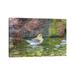 East Urban Home Bay-Breasted Warbler (Setophaga Castanea) Taking a Bath, Marion County | 8 H x 12 W x 0.75 D in | Wayfair