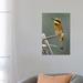 East Urban Home Little Bee-Eater by Elmar Weiss - Wrapped Canvas Photograph Canvas | 26 H x 18 W x 1.5 D in | Wayfair