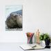 East Urban Home Southern Elephant Seal Bull & Female on Beach by Martin Zwick - Wrapped Canvas Photograph Canvas | 12 H x 8 W x 0.75 D in | Wayfair