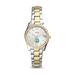 Women's Fossil Silver/Gold Northwest Missouri State Bearcats Scarlette Mini Two-Tone Stainless Steel Watch