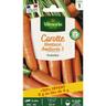 Carotte Nantaise Améliorée 3 + 50% Gratuit