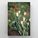 Red Barrel Studio® Pink & Yellow Tulips In Bloom During Daytime 4 - 1 Piece Rectangle Graphic Art Print On Wrapped Canvas in Green/Pink/Red | Wayfair