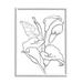 Stupell Industries Calla Lily Floral Stem Modern Minimal Line Drawing Canvas in White | 20 H x 16 W in | Wayfair af-246_wfr_16x20