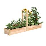 Greenes Fence Premium Cedar Raised Garden Bed w/ Trellis 16" W X 96" L X 11" H Wood in Brown | 11 H x 96 W x 16 D in | Wayfair RC169612PTRE