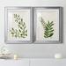 Sand & Stable™ Botanical Wash I - 2 Piece Painting Print Set on Canvas Paper, Solid Wood in Green | 18.5 H x 49 W x 1.5 D in | Wayfair