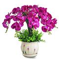 KDOQ Purple Orchid Plant Fake Flowers Artificial Orchid in a Pot Indoor Plants Artificial Large Fake Bonsai Artificial Flowers In Vase Dining Room Bedroom Table Centrepiece (Color : Purple Orchid)