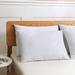 Twin Pack Duck Down Blended Bed Pillows with Cotton Cover by St. James Home in White (Size KING)