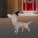 Northlight Seasonal 32" LED Lighted Dachshund Dog in Santa Hat Outdoor Christmas Decoration Plastic | 25 H x 32 W x 6 D in | Wayfair