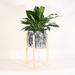 Upshining Live Plant Peace Lily w/ Mid Century Modern Ceramic Planter Pot 10" Black Marble w/ Wood Stands Natural in Brown | Wayfair 6PL-PCLRbmN