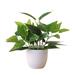 Primrue 8.66" Artificial Bonsai Plant in Pot Plastic | 8.66 H x 6.3 W x 6.3 D in | Wayfair FC4F40E2574F41B788B6D5700A444A8D