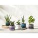 Le Creuset Enameled Stoneware Pot Planter Stone in Gray | 4.41 H x 5.5 W x 5.5 D in | Wayfair 71302015444000