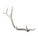 Elk Home Weathered Resin White Ornamental Accessory