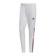 Adidas Men's TIRO TK WD PNT Pants, White, L