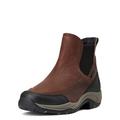 Ariat Women's Terrain Blaze H20 - 11 - Dark Brown - Smartpak