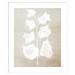 AllModern Marie Bark II by Urban Road - Picture Frame Painting Paper, Solid Wood in White | 25 H x 21 W x 1 D in | Wayfair