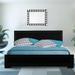 Oxford Platform Bed by Camden Isle in Black (Size KING)