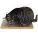 FurHaven Rectangle Scratching Board Cardboard in Brown | 1.18 H x 15.75 W x 5.9 D in | Wayfair 401002