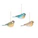 Songbird Ornaments Set of 3 - 3.54" x 1.26" x 1.57"