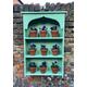 Auricula Theatre, Primrose, Primula, Flower Wall Shelf, Garden Flower Display, Gothic and Rustic in Three Colours