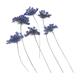 Pressed flowers, blue lace flower on stem 20pcs floral art, resin craft, scrapbooking