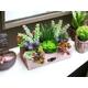 Faux Succulent Arrangement,Faux Garden, Faux Botanical Decor,Artificial Succulents,Home Decor, artificial succulent plant, window sill decor