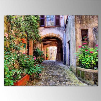 Arched Entry Canvas Wall Art Multi Cool , Multi Cool