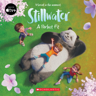Stillwater: A Perfect Fit w/Cards (paperback) - by Meredith Rusu