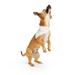 Reversible Birthday Dog Bandana, Large/X-Large, Multi-Color