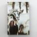 Gracie Oaks Black & White Goat In Tilt Shift Lens - 1 Piece Rectangle Graphic Art Print On Wrapped Canvas in Black/White | Wayfair