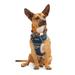 Navy Dog Harness, XX-Large/3X-Large, Blue
