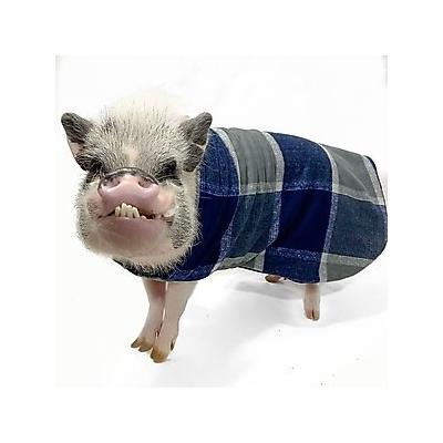Morty's Pig Clothes Fleece Strap Pig Sweater, Navy Plaid, XX-Large