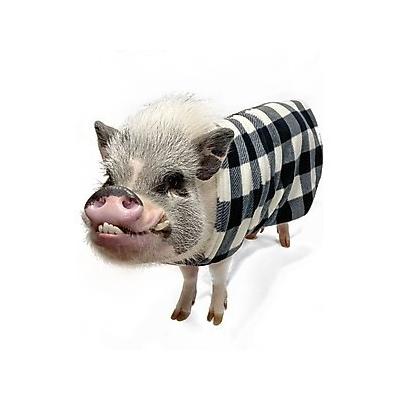 Morty's Pig Clothes Fleece Strap Pig Sweater, White Plaid, Large