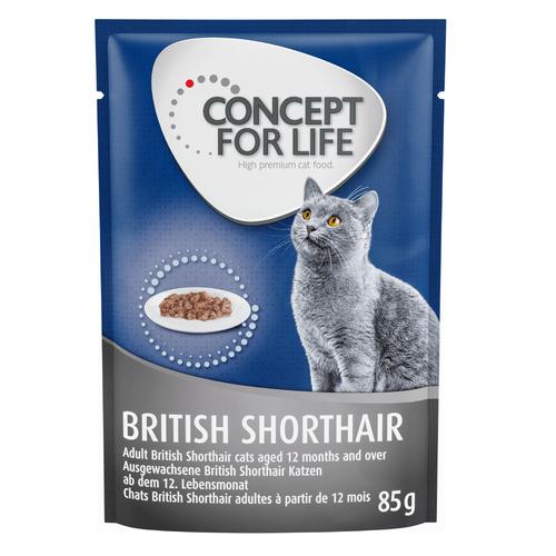 24x85 g British Shorthair Adult Ragout-Qualität Concept for Life Nassfutter für Katzen