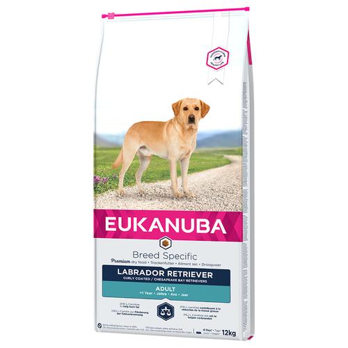 2x12kg Adult Breed Specific Labrador Retriever Eukanuba Hundefutter trocken