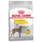 12kg Royal Canin CCN Dermacomfort Maxi Hundefutter trocken
