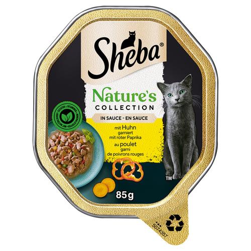 22x 85g Sheba Nature´s Collection in Sauce mit Huhn Katzenfutter nass