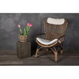 Beachcrest Home™ Ayriauna Rattan Urn Planter Rattan | 8 H x 10.5 W x 10.5 D in | Wayfair 141829F537724EBAB2ECB0A4931386B2