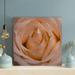 Rosdorf Park Close-Up Photography Of Beige Rose Flower - 1 Piece Rectangle Graphic Art Print On Wrapped Canvas Canvas | 12 H x 12 W x 2 D in | Wayfair