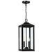 2-Light Bronze Large Transitional Outdoor Hanging Pendant Light with Clear Glass - 20 in. H