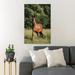 Gracie Oaks Brown Horse On Green Grass Field During Daytime 52 - 1 Piece Rectangle Graphic Art Print On Wrapped Canvas in White | Wayfair