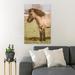 Gracie Oaks A Horse w/ Frizzy Hair - 1 Piece Rectangle Graphic Art Print On Wrapped Canvas in Brown/Green | 14 H x 11 W x 2 D in | Wayfair