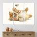 East Urban Home Little Orange Kitten w/ Feather - Traditional Canvas Wall Art Print - PT40807 Metal in Brown | 32 H x 48 W x 1 D in | Wayfair