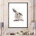 East Urban Home Portrait of a Rabbit on White II - Photograph on Canvas Metal in Black/Gray/White | 32 H x 24 W x 1 D in | Wayfair