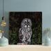 Loon Peak® Black & White Owl In The Forest - 1 Piece Rectangle Graphic Art Print On Wrapped Canvas in Gray/Green | 12 H x 12 W x 2 D in | Wayfair