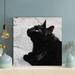 Latitude Run® Black Cat On Gray Concrete Floor - 1 Piece Square Graphic Art Print On Wrapped Canvas in Black/White | 12 H x 12 W x 2 D in | Wayfair