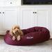 Majestic Pet Products Majestic Pet Personalized Bagel Donut Bolster Dog Bed Metal | 11 H x 52 W x 35 D in | Wayfair 720570929036-Baskerville-Yellow